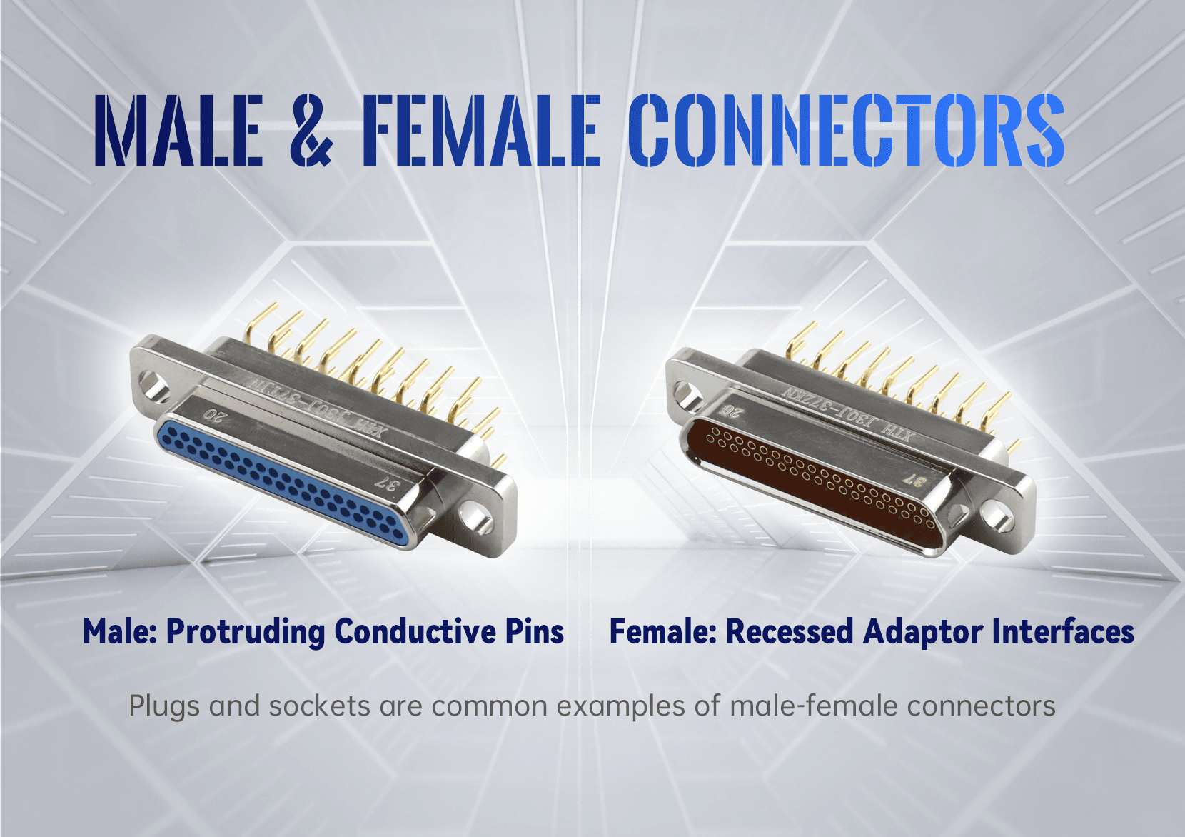 Understanding Male and Female Connectors: Types and Applications ...